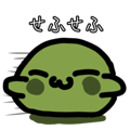797663250