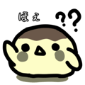 797663252