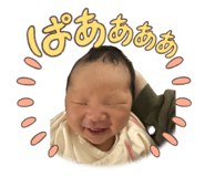 797671097