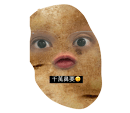 797674621