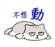 797678421