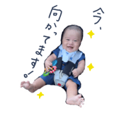 797681481