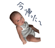 797681484