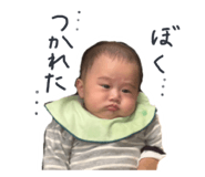 797681499