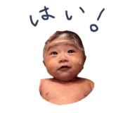 797681500