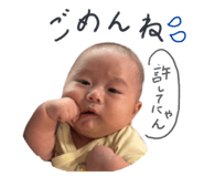 797681510