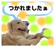 797684119