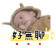 797700856