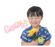 797701334