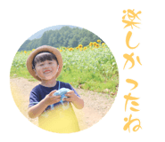 797701341