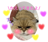 797701372