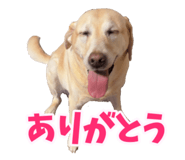 797706099