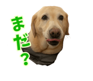 797706115