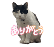 797722346