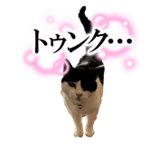 797722360