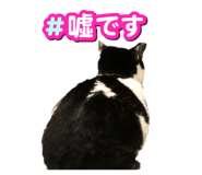 797722366