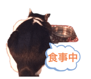 797722383