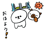 797729012