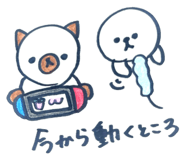 797729023