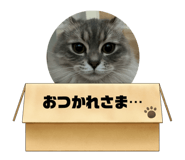 797738296