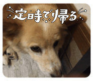 797742499