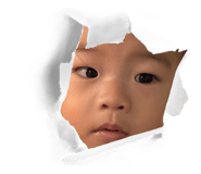 797767038