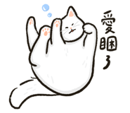 797767046