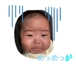 797780333