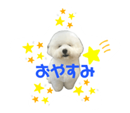 797782677