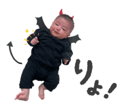 797787736