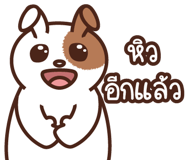 797788957