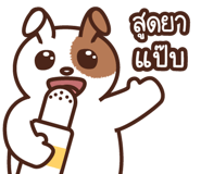 797788974