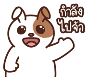 797788975