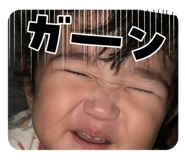 797790836
