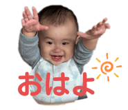 797791229