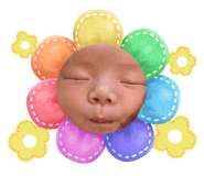 797796694