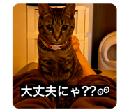 797796913