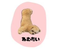 797803090