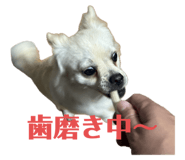 797804124