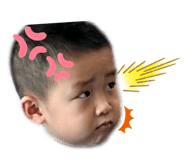 797808667