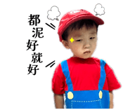 797808668