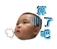 797808676