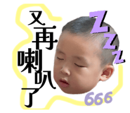797808677
