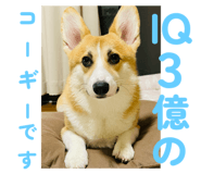 797825973