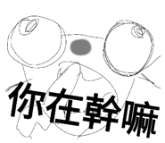 797830538