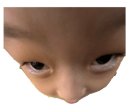 797830881