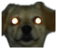 797832110