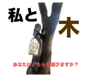 797843880