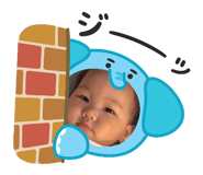 797853088