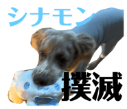 797853167